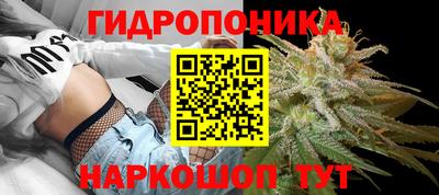 твердый Кудрово