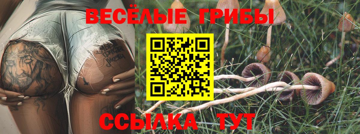 Галлюциногенные грибы Cubensis Верхняя Пышма